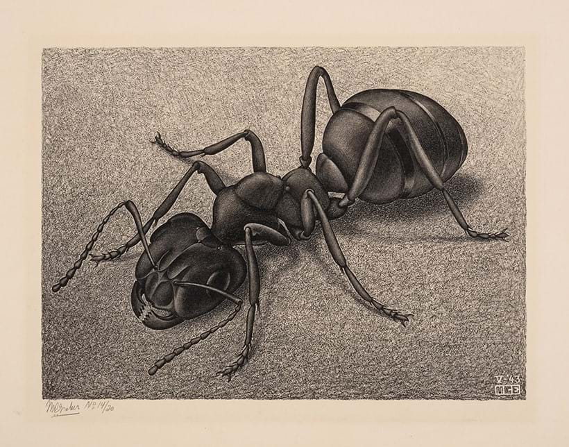 Inline Image - Lot 213: Maurits Cornelis Escher (1898-1972), ‘Ant (Bool 328)', the very rare lithograph, 1943, a fine delicately inked impression, signed in pencil, numbered from the edition of 20 | Est. £40,000-60,000 (+ fees)