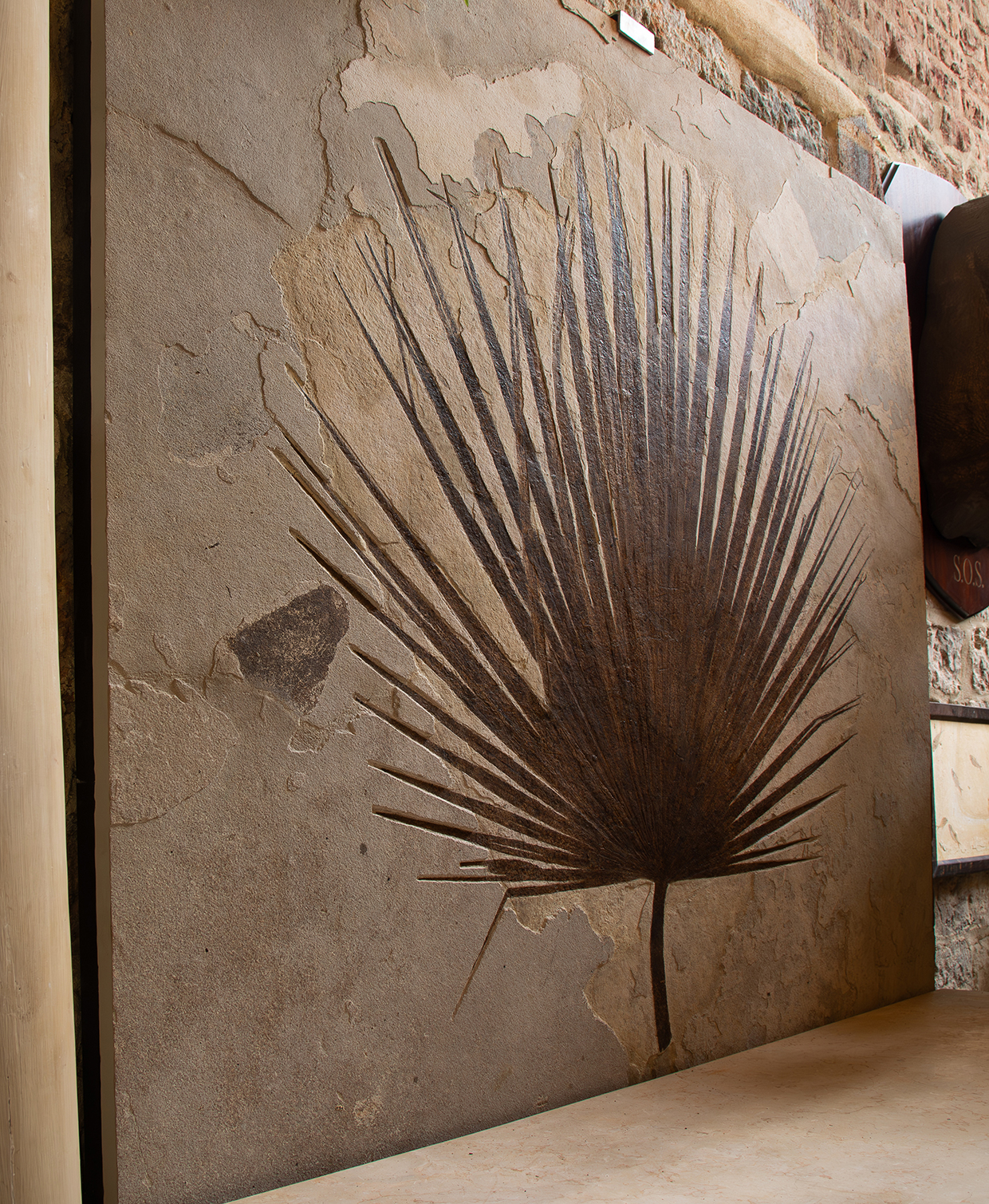 Parnham Park - Lot 155 - Sabalites SP.jpg