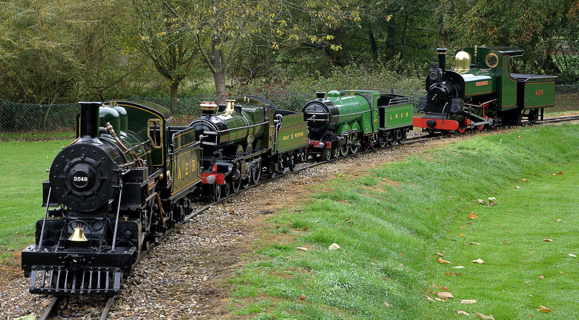 narrow gauge steam locomotive for sale