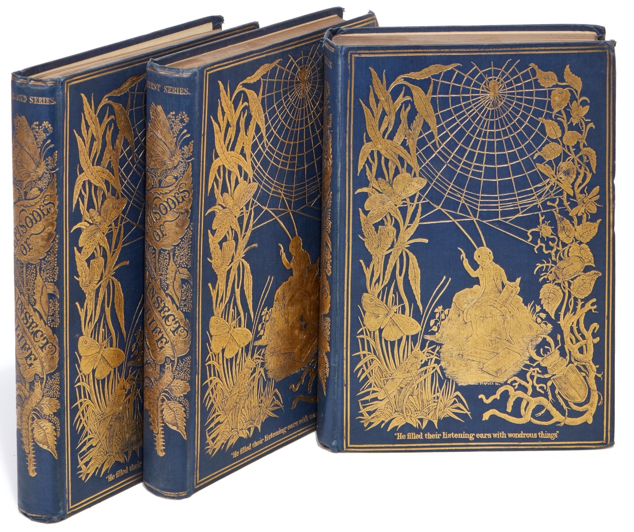 167 36255 cropped.jpg (1)