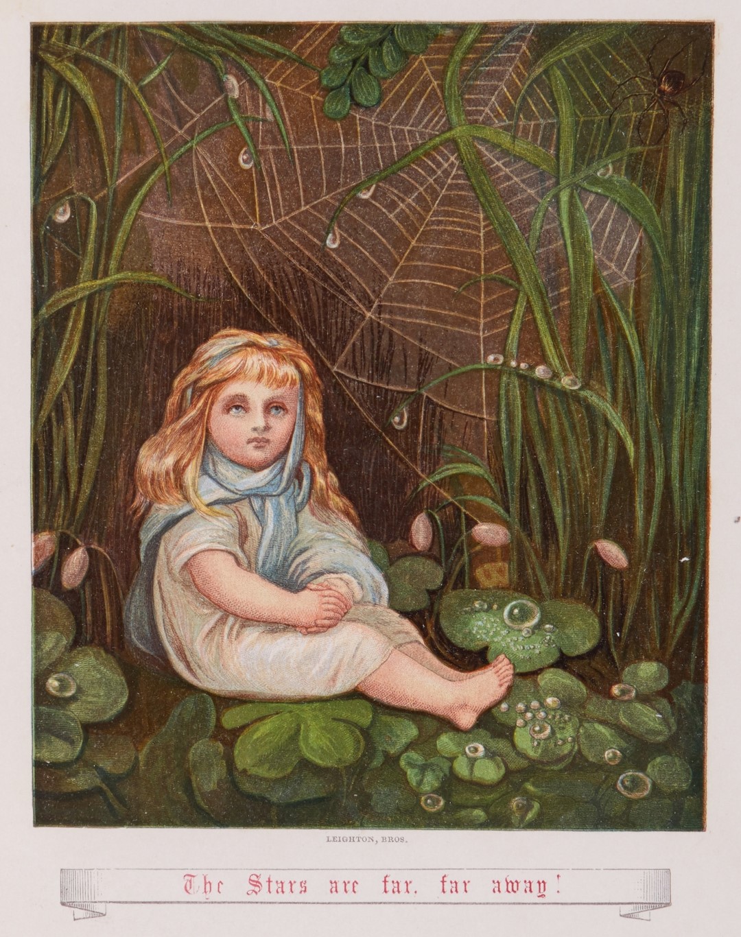 175 36255 (2) (Large).jpg