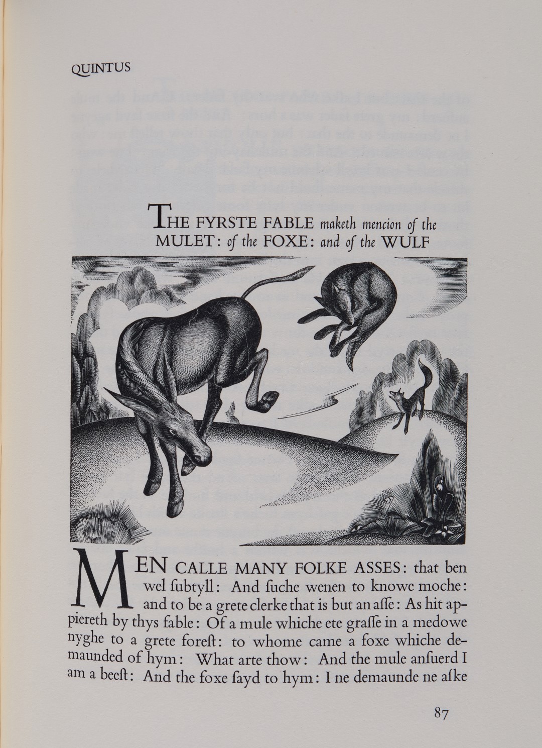 223 36255 (Large).jpg (1)