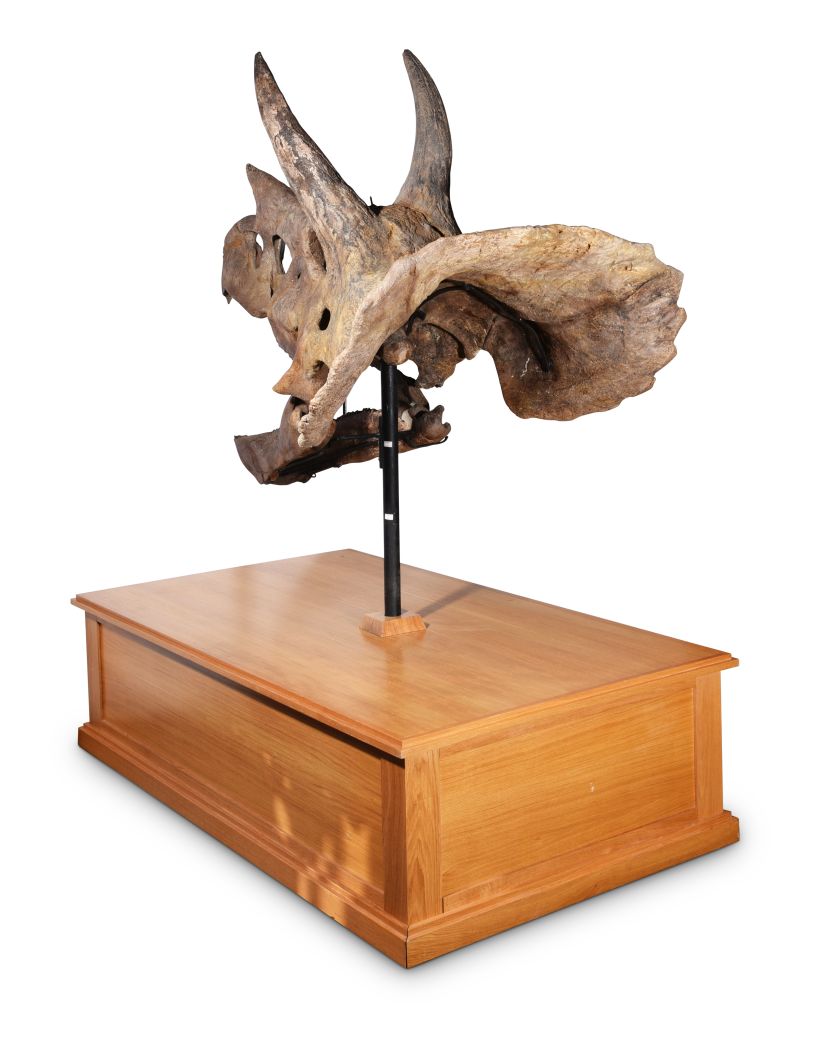 505730-1_k web 820 width.jpg