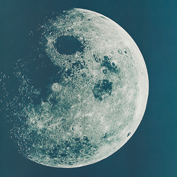 Home Banner: To the Moon: Collecting the Dream 14935 Image