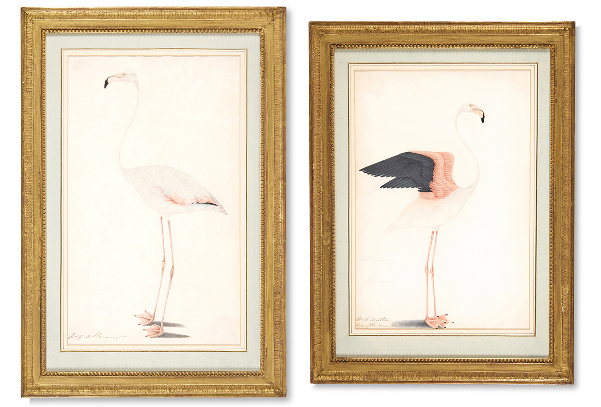 Lot 239