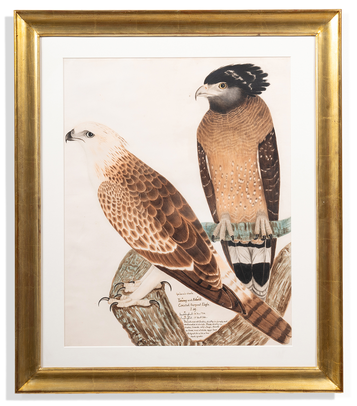 Lot 263