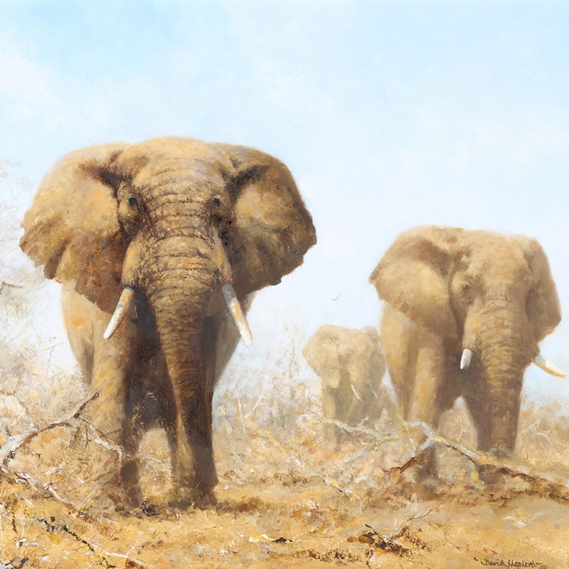 The Art of David Shepherd: Railways, Wildlife and Conservation | The Collection of Sir William & Lady McAlpine | 12 August 2026