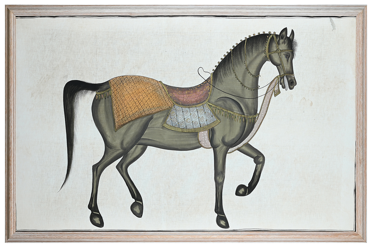 Lot 1007