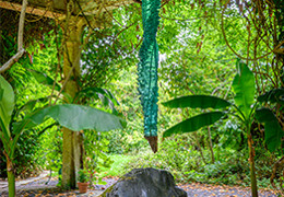 Of Material and Place: Contemporary Design | Modern Design & Decorative Art | 7 October 2026 Image