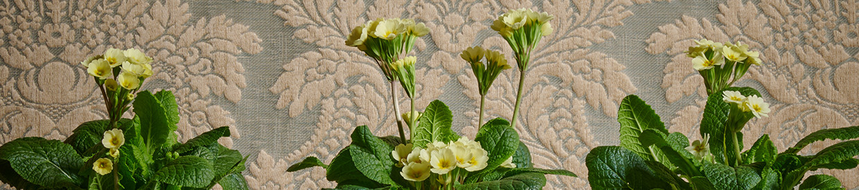 Historical Harmony | Dreweatts 1759 x Watts 1874